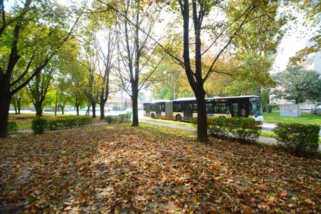 Járatkimaradások lesznek kedden délután a helyi közösségi közlekedésben